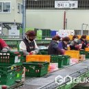 충주거점산지유통센터 이미지