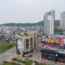 세훈치과의원 네이버블로그