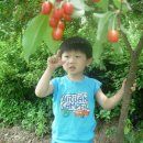 보리수어린이집 이미지