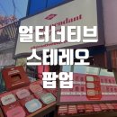 성수 얼터너티브 스테레오 팝업스토어 사전예약 방문 후기