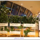 Hino’s Recipe 이미지