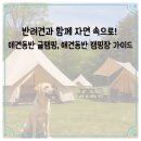 서해동물병원 | 반려견과 함께 자연 속으로! 애견동반 글램핑, 애견동반 캠핑장 가이드
