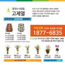 꽃파는사람들 이미지