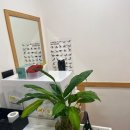 올바로환경 | 🎄✨ 연말모임 대신 운동하기! 까치산역필라테스 '올바로필라테스'에서