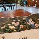 황혜정스튜디오