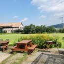 생태숲민박 이미지