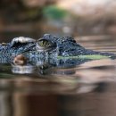 장성복싱GYM 이미지