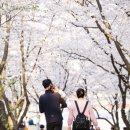 의왕시청 이미지