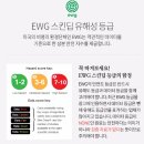 논버블