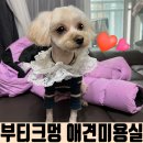 부티크멍 애견미용실 이미지