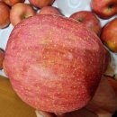 부사시장 이미지