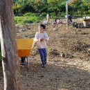 윤우농장 이미지