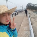 만리포고등학교 | 어은돌 힐링캠핑장 주변 산책 그리고 저녁배드민턴