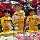 황소와나비 이미지