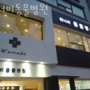 워너비 동물병원 | 마포구 등교동 동물병원 워너비동물병원 위치 오는길 후기