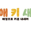 애키새