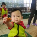 월포농장 이미지