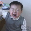 우케타 이미지