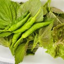 항골계곡야영장 이미지