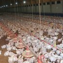 초평농장 이미지