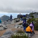 케이프타운 이미지