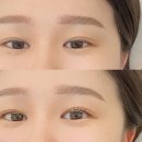 노멀라인속눈썹&브로우구미