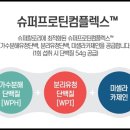 프로틴스토리