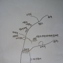 사북면 지역아동센터 꿈마을 이미지