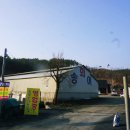 충주 월악산 송어회, 금빛송어횟집 가즈아