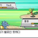 지성슈퍼 - 중구 보문산공원로497번길 6 | 지성슈퍼