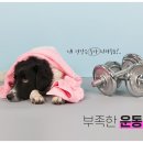 스마트점핑