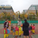 광은유치원 이미지