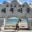 애견마을 이미지