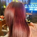 태화 미용실 | 오래 고민 끝에 서면미용실 정착한 후기