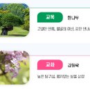 안강전자고등학교 이미지