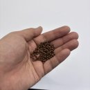 프리벤트라 순수 맥주효모환 5,000mg 헤어케어 영양제 섭취 후기