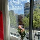 청담비포앤애프터의원 이미지