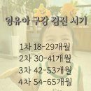 키즈빌치과의원 이미지