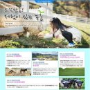 역사문화전문가 코스 이미지