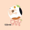 모모몽 애견까페 이미지