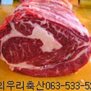한우암소판매