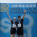 디자인하마 | 2026 서하마 코스 & 작년 후기