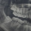 대건치과의원 이미지