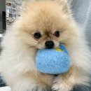 조은온누리약국 | 한국에서 마지막 일상 zip.