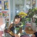 영해약국 이미지