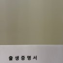 11260-2-37-12 | 대구 계대 동산병원 제왕절개 37주차 쌍둥이 출산 후기 (1인실 4박 5일 비용)