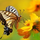 세이에너지 이미지