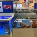 광해수산 네이버블로그