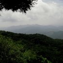 오도재 Daum카페