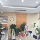 반송동130 | [화성 반송동 드림프라자 도배] 화성 반송동 상가 도배, 험한 벽을 텍스 없이 매끈하게? 베테랑의...